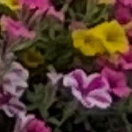 Photo of Giosue DiDonna, obituary