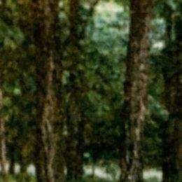 Photo of Wendy Sue Corwin, obituary