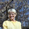 Beverly Burns Flowers