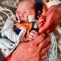 Mateo "Teo" Arturo Navarrete