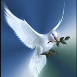 Photo of Chantal Robitaille, obituary