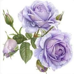 Photo of Bethany P. Snider, obituary