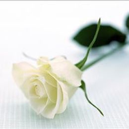 Photo of Anita Dubois, obituary