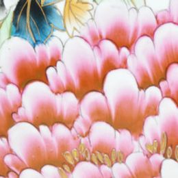 Photo of Dorothy Jean Harris, obituary
