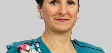 Denise Santella Bisson