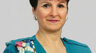 Denise Santella Bisson