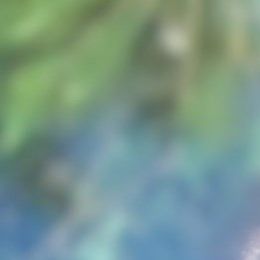 Photo of Carol Ann Ezzo, obituary