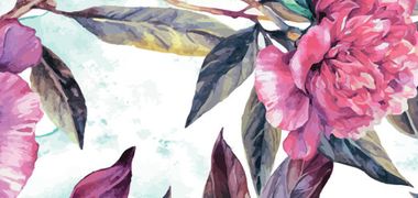 Diane Alice Freer