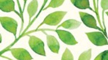 H. Kent Beasley, M.D.