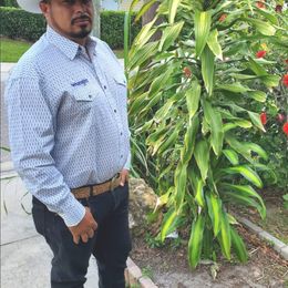 Photo of Mario Guerrero, obituary in Linton
