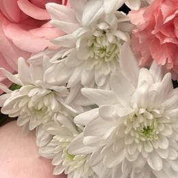 Photo of Shirley Alice Giles, obituary